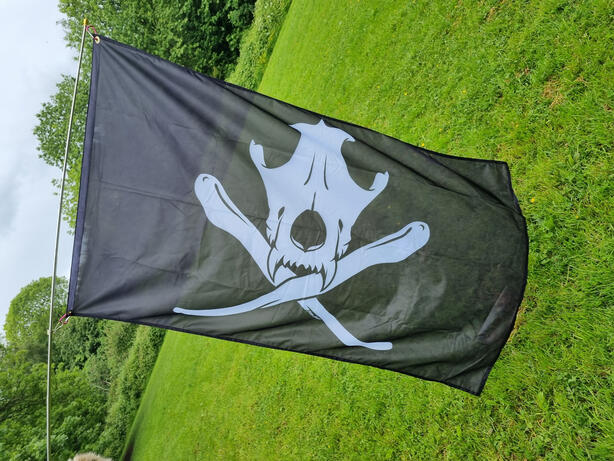 Skull n' Crossbones